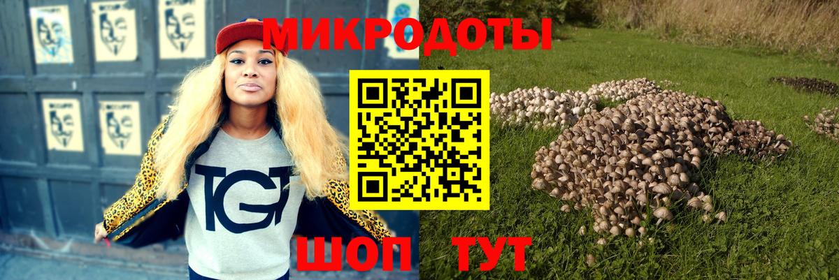 Галлюциногенные грибы ЛСД Кимовск