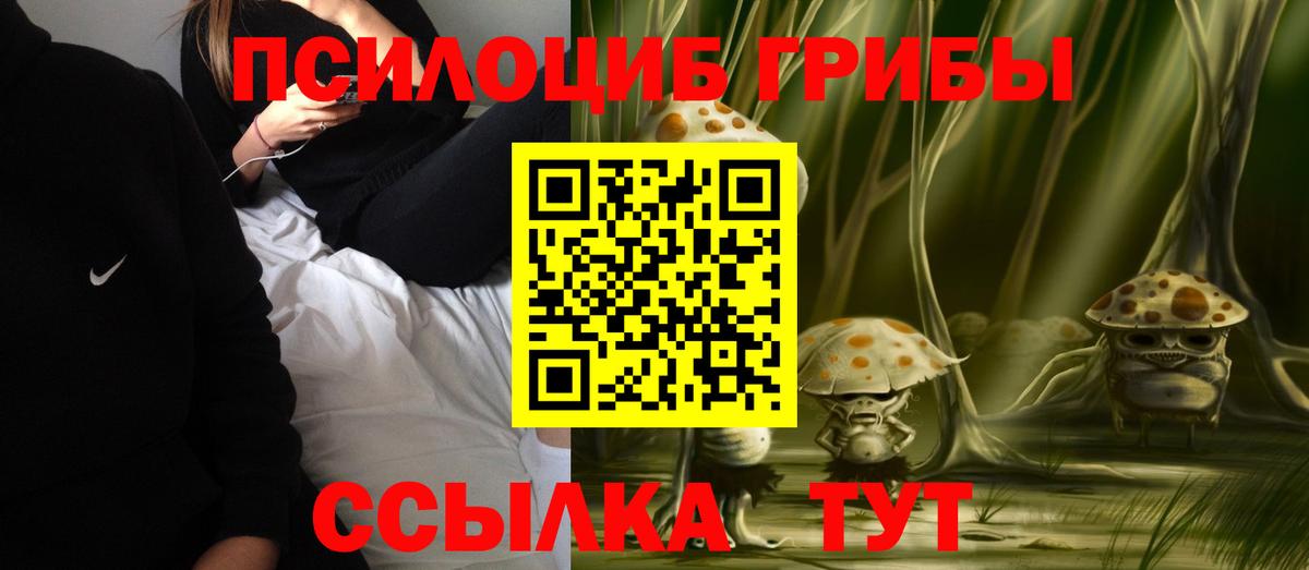 Псилоцибиновые грибы MAGIC MUSHROOMS  Вход с VPN  Кимовск 