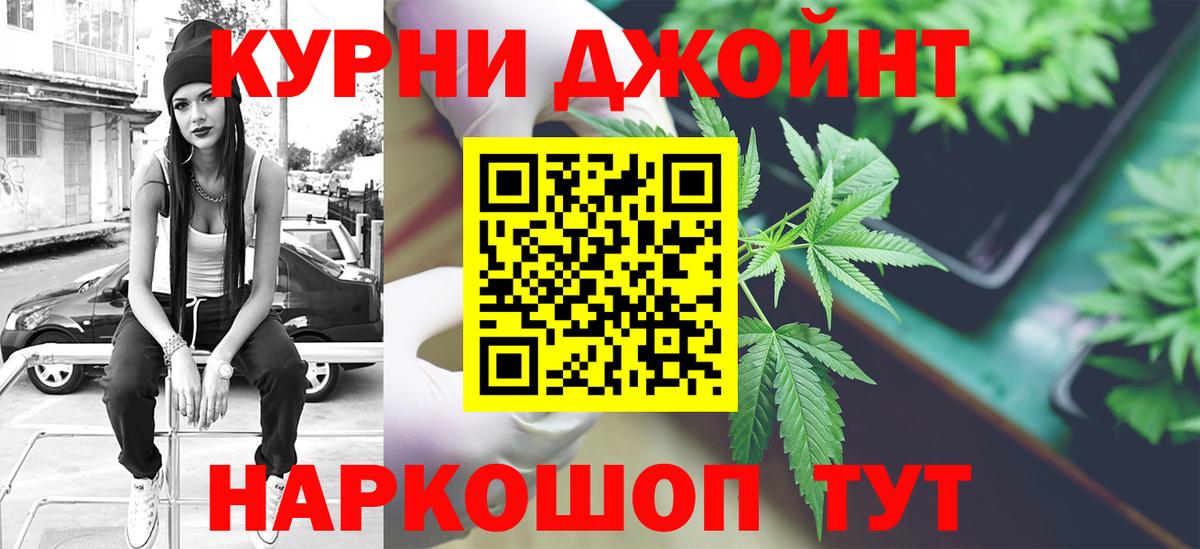 Каннабис планчик Кимовск